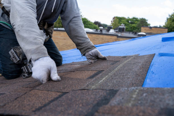 Quick and Trustworthy Emergency Roof Repair Services in Rancho Alegre, TX