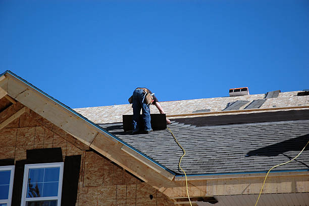 Best Metal Roofing Contractor  in Rancho Alegre, TX
