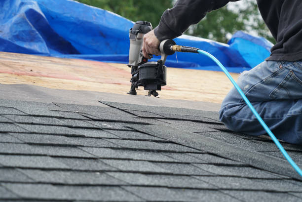 Best Residential Roofing Contractor  in Rancho Alegre, TX