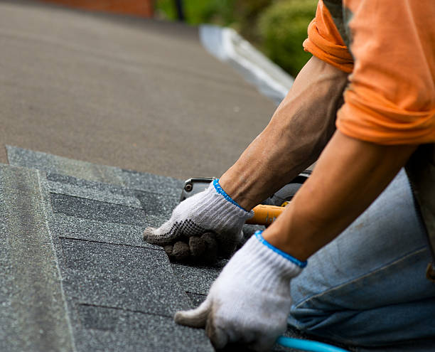 Best Tile Roofing Contractor  in Rancho Alegre, TX